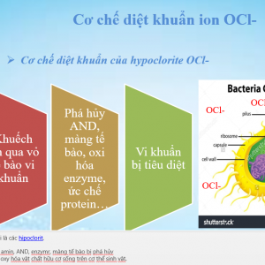 nước khử khuẩn tốt nhất hiện nay ở Nha Trang